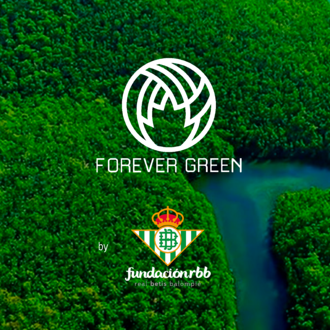 Grupo_Logistico_Alfonso_Duo_Trailer_España_Forever_Green